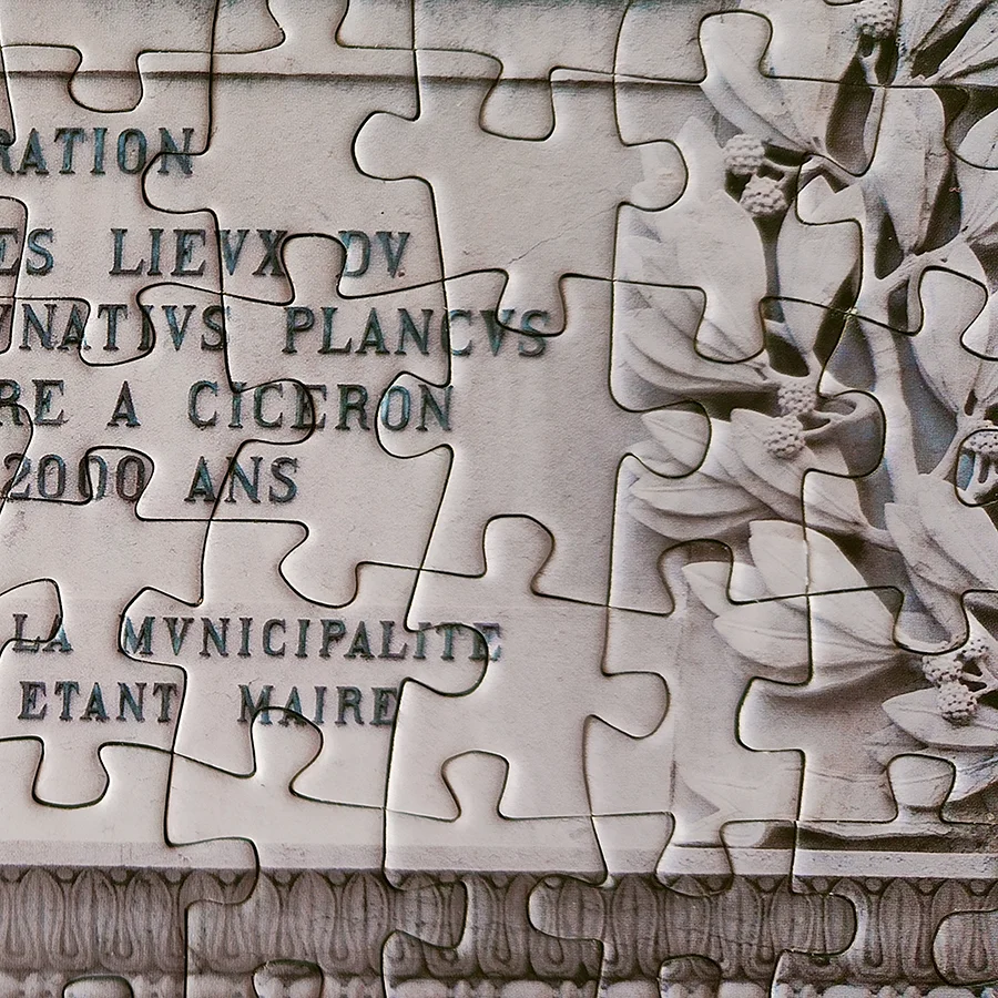 close-up of Saneftec puzzle pieces with sharp, detailed print